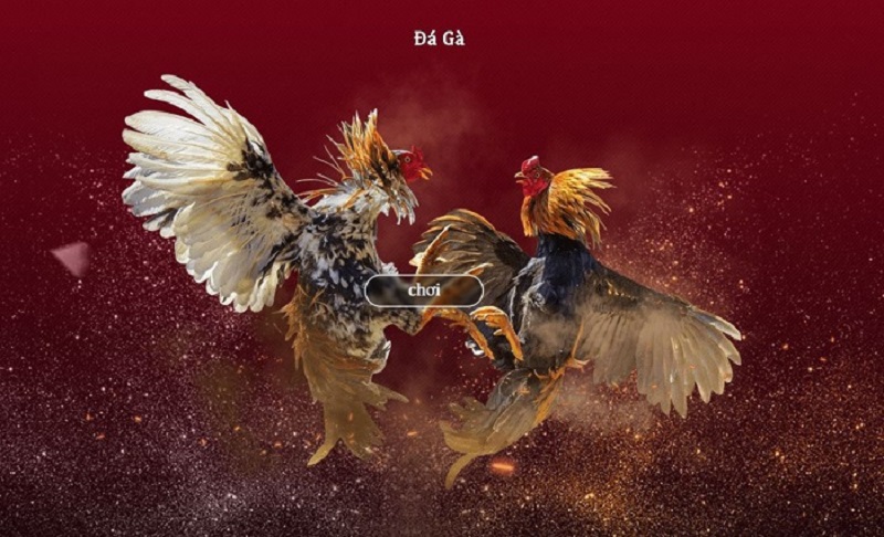 Khám phá Đá Gà OK88 – Tận hưởng trận đấu kịch tính & cơ hội thắng đậm 2 Tham gia Đá Gà với nhiều hình thức đa dạng