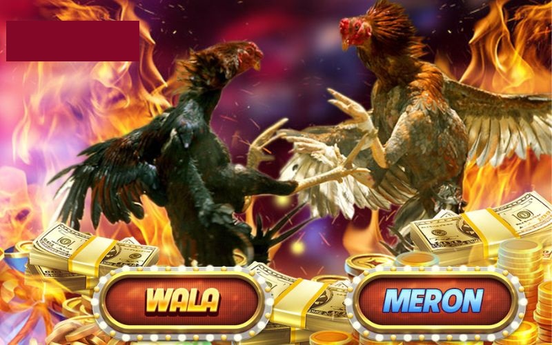 Khám phá Đá Gà OK88 – Tận hưởng trận đấu kịch tính & cơ hội thắng đậm 3 Ba hình thức đặt cược nổi bật tại game Đá Gà